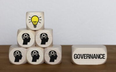 WHAT DOES A GOOD IT GOVERNANCE STRUCTURE LOOK LIKE?