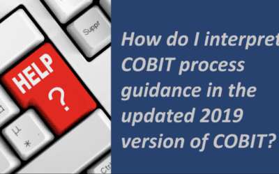 HOW DO I INTERPRET COBIT PROCESS GUIDANCE IN THE UPDATED 2019 VERSION OF COBIT?